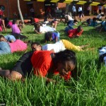 eating grass