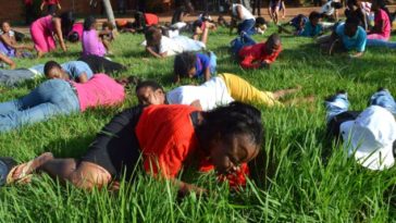 eating grass