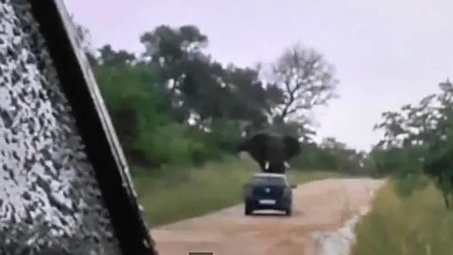 enas minas tou melitos pou tha tous mini