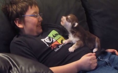 koutavaki chaski matheni na gavgizi