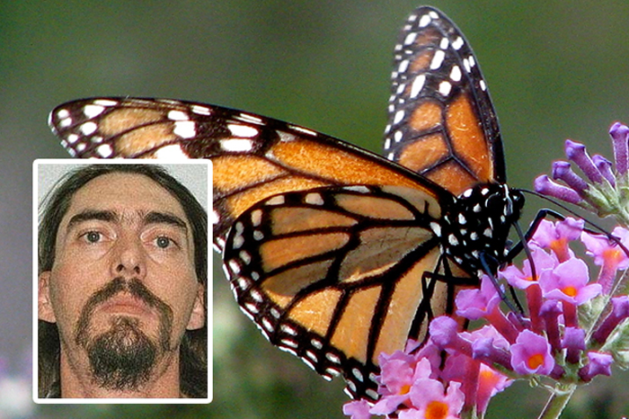 epiviose ena mina ston kafsona trogontas petaloudes