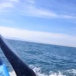gineka efage chastouki apo oura falenas