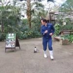 pigkouinaki kinigai ton filaka