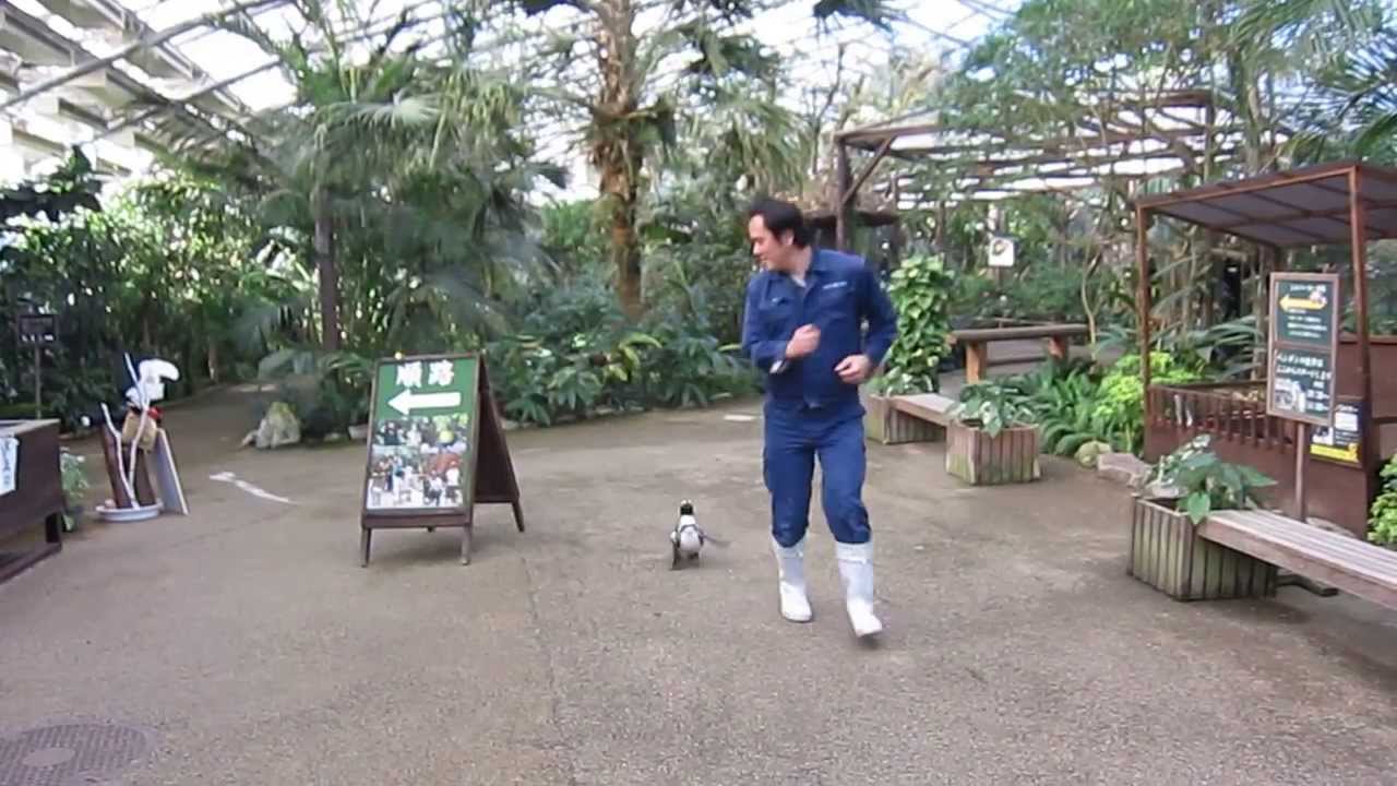 pigkouinaki kinigai ton filaka