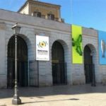 sta skoupidia katelixe apo lathos i monterna techni italikou mousiou