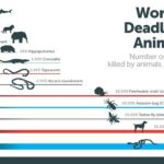 deadliest animal 1