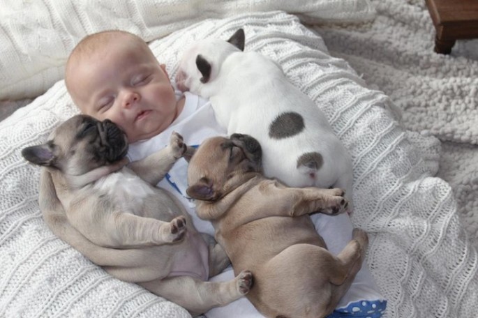 Baby and Bulldog 04