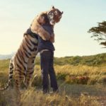animal hugs 14 e1400918841898