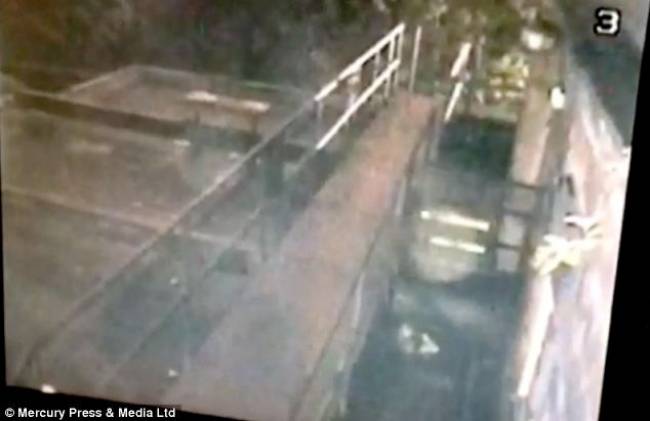 fantasma voltari se pamp