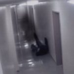 kamera epithesi fantasmatos