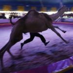 chirotero pragma den bori na sou simvi brosta se toso kosmo