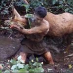 enas sigchronos tarzan pou piani agria zoa me gimna cheria