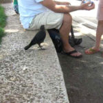 koraki zitai nero apo tous anthropous