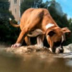 7 exipna fotografika kolpa me smartphone