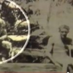 vrikan mithiko teras se palia fotografia
