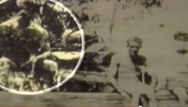 vrikan mithiko teras se palia fotografia