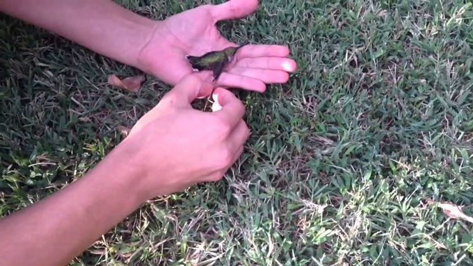 kolimpri kollise se tsichla 01