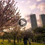 ta sinnefa pano apo to tokio timelapse vinteo