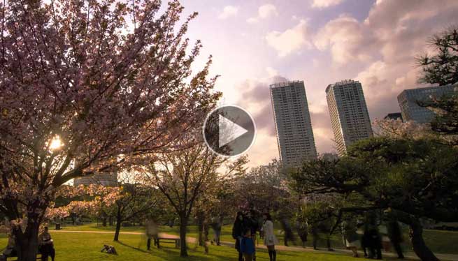 ta sinnefa pano apo to tokio timelapse vinteo