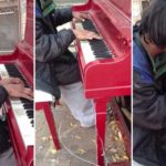 astegos aftodidaktos pianistas