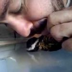 ekane techniti anapnoi se pouli sozontas tin zoi tou