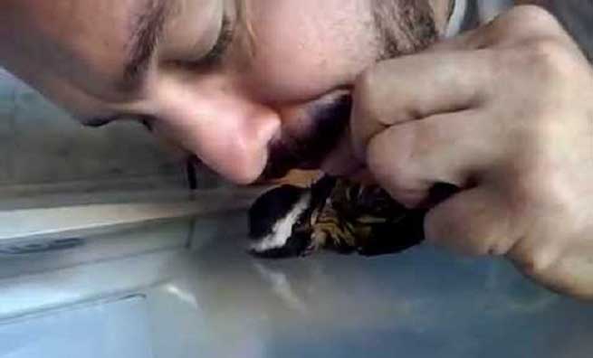 ekane techniti anapnoi se pouli sozontas tin zoi tou