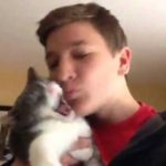 i gata pou sichenete ta filia