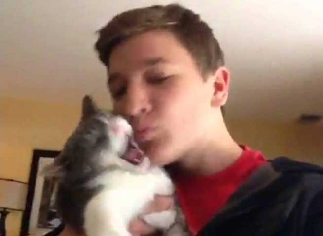 i gata pou sichenete ta filia