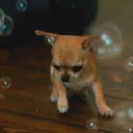 skilos enantion fouskes slowmotion vinteo