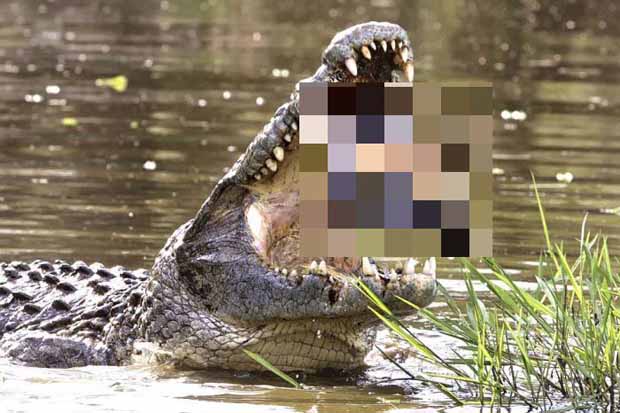 chelona glitose apo ta dontia krokodilou 1