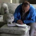 chnoudoti gata apeti prosochi