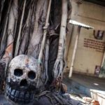 aghoris i fili kanivalon pou trefete apo nekrous 5