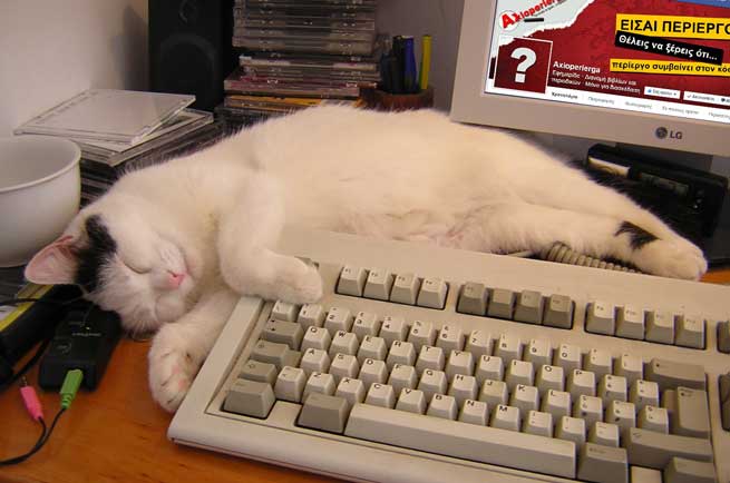provlima ston server tou