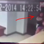 fantasma sprochni ke richni mia gineka kato