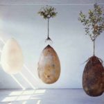 capsula mundi viodiaspomeni kapsoula 1