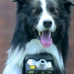 me afto to gadget bori o skilos sou na gini fotografos