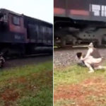 otan i anthropini vlakia den echi oria