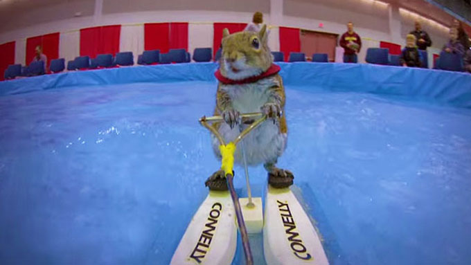 ena skiouraki thalassios skier