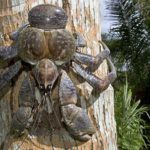 gigantioi kavoures pou skarfalwnoun sta dentra kai pnigontai sto nero 1