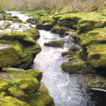 bolton strid river
