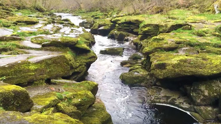 bolton strid river