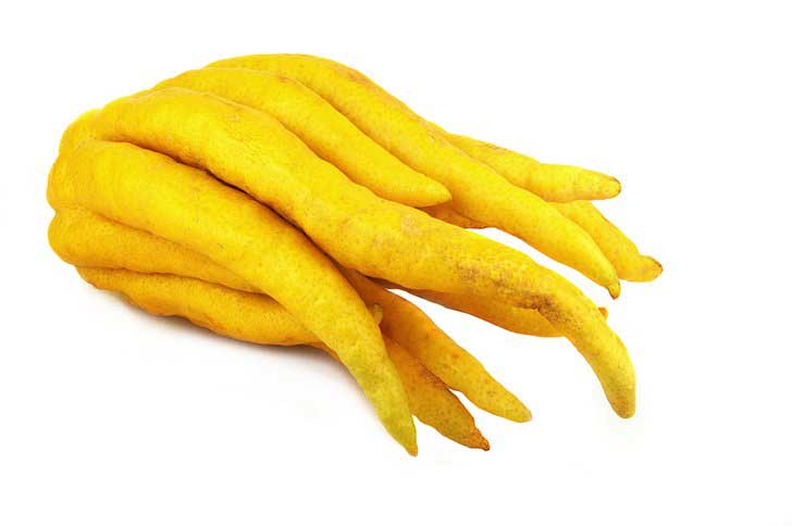 buddhas hand